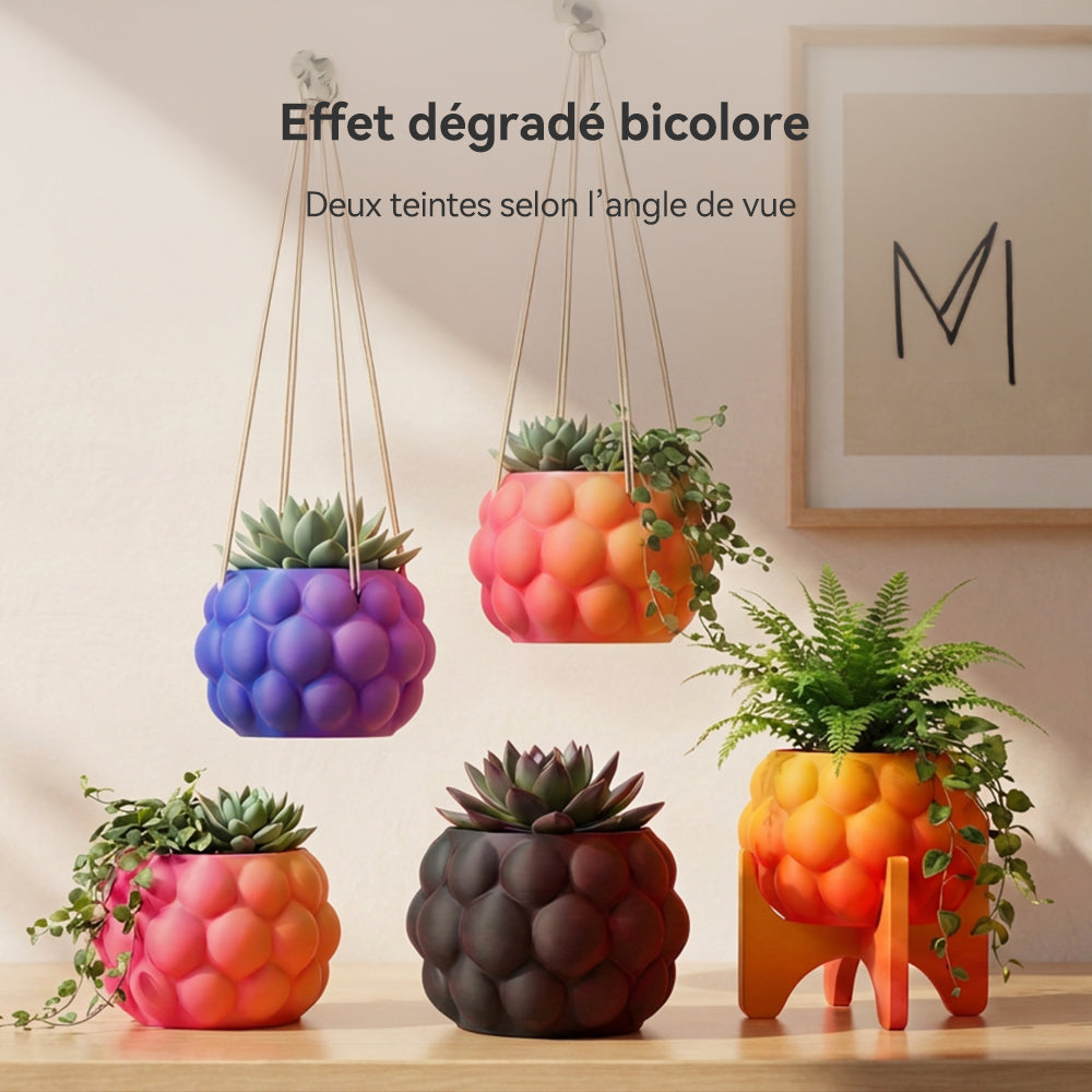 [MOQ : 3 Rouleaux] PLA Matte Dual-Color Filament Esthétique pour Imprimante 3D 1KG, Dégradés Bicolores Fluides & Finition Mate Douce