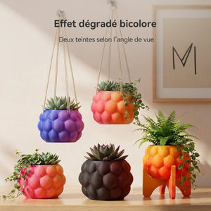 [MOQ : 3 Rouleaux] PLA Matte Dual-Color Filament Esthétique pour Imprimante 3D 1KG, Dégradés Bicolores Fluides & Finition Mate Douce