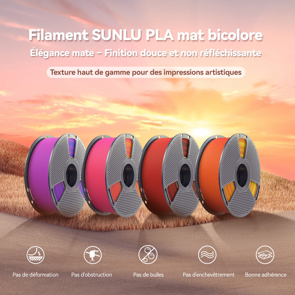 [MOQ : 3 Rouleaux] PLA Matte Dual-Color Filament Esthétique pour Imprimante 3D 1KG, Dégradés Bicolores Fluides & Finition Mate Douce