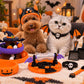 Pack Filament PLA Halloween – 4 Bobines, 6 Thèmes au Choix (🎃 Modèle Halloween Offert)